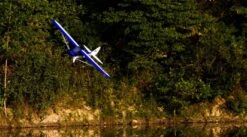 Carbon-Z Cub BNF Basic -3c Store e flite efl10450 06