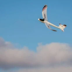 UMX Radian FPV BNF Aircraft Without Headset -3c Store e flite eflu6780 07